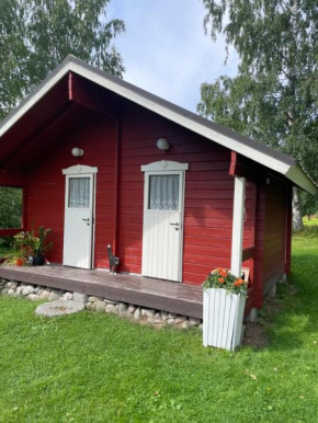 Salmenaho B&B in Konnevesi